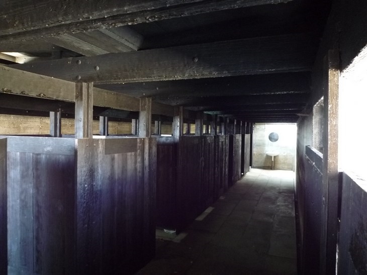 Archisearch LEÇA SWIMMING POOLS, 1966 + VIDEO / ALVARO SIZA VIEIRA