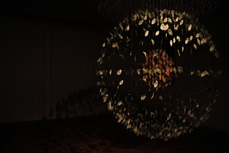 Archisearch - TAMING THE WILD