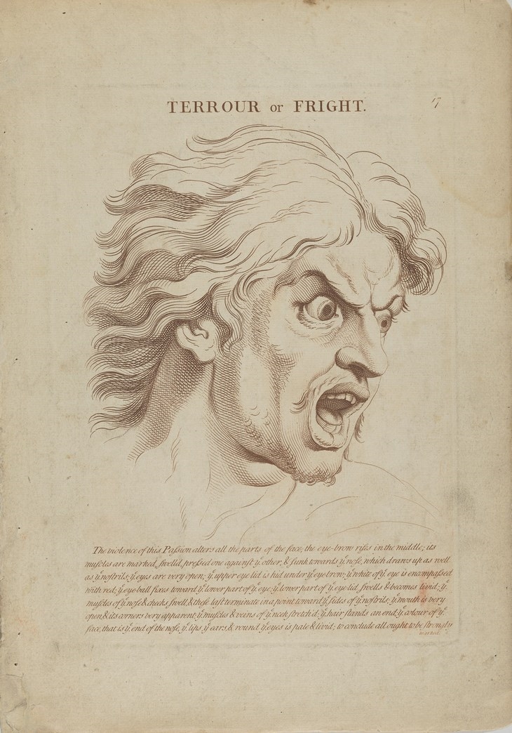 Archisearch ABOUT FACE: HUMAN EXPRESSION ON PAPER / THE METROPOLITAN MUSEUM OF ART