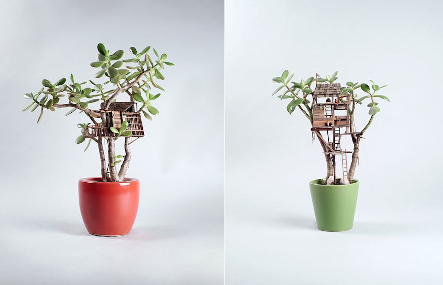 Archisearch - TINY HOUSES BUILT AROUND PLANTS REVIVE CHILDHOOD MEMORIES