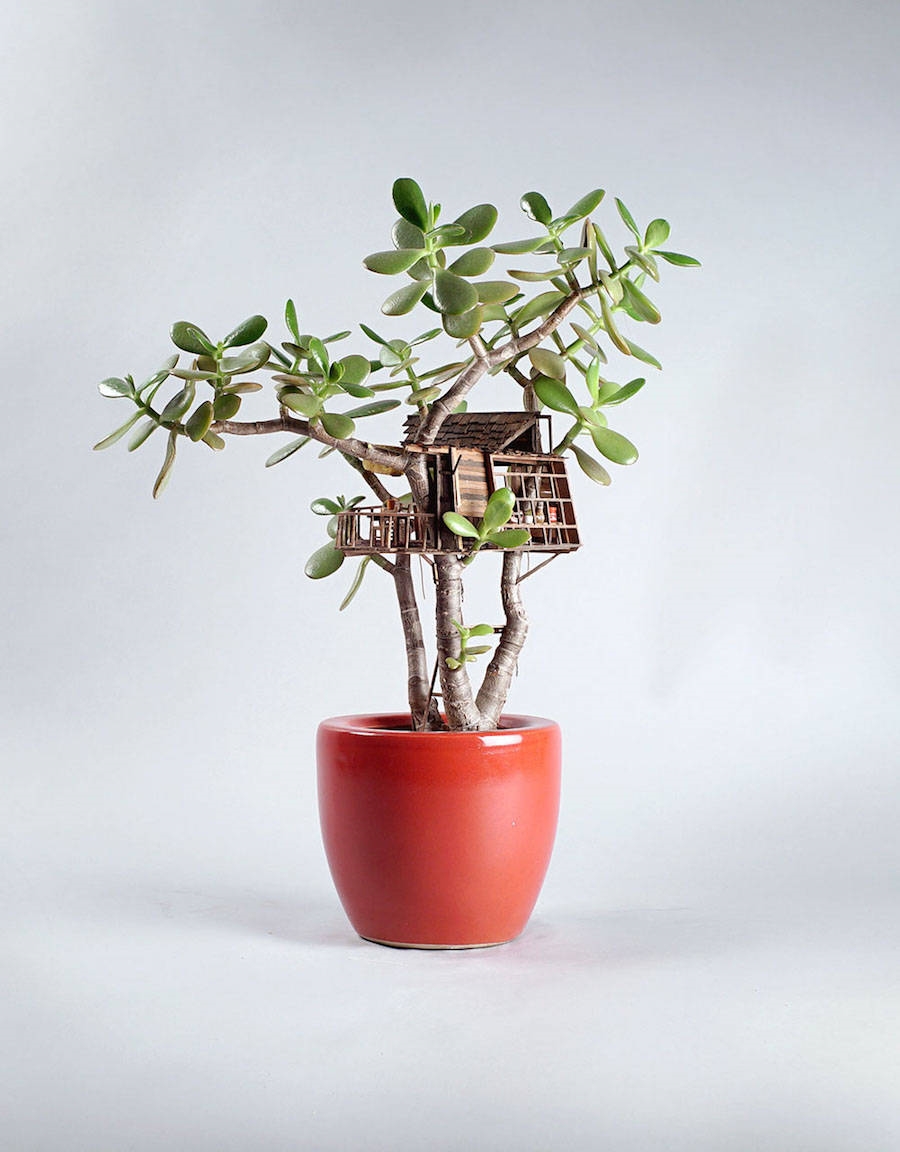 Archisearch - Tiny houses built around plants / Jedediah Voltz Corwyn