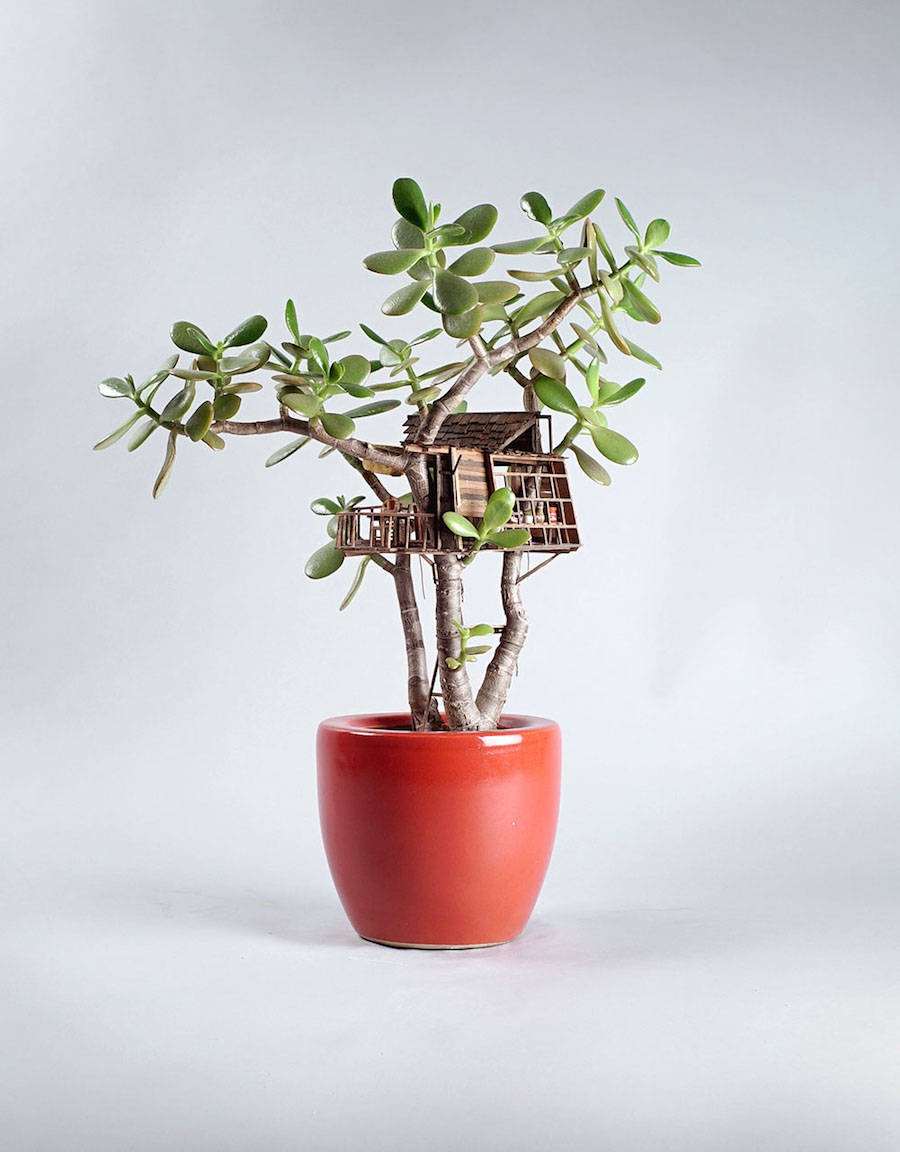 Archisearch TINY HOUSES BUILT AROUND PLANTS REVIVE CHILDHOOD MEMORIES