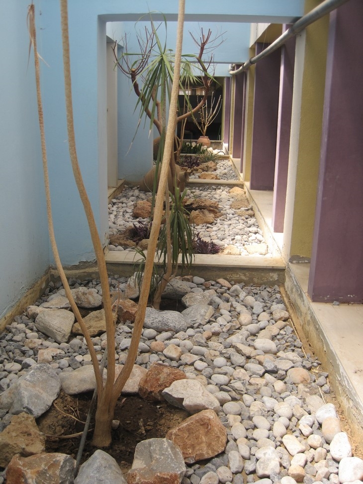 Archisearch - w4, 3rd Primary School of Agios Nikolaos, internal zen garden (after) (c) Ecoweek