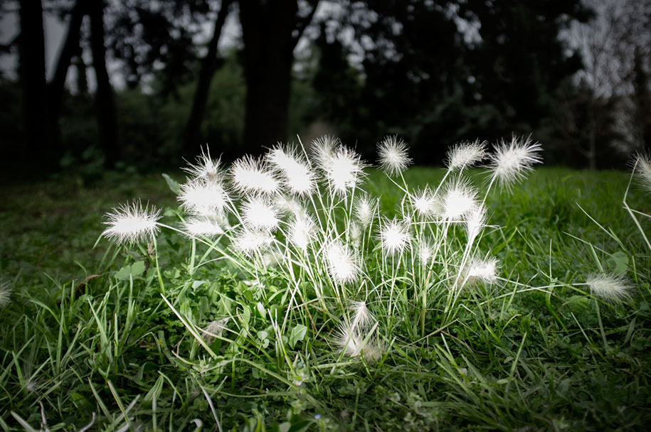 photographs, essence, light, photography, christos dimitriou, landscape, geometry, studiovd