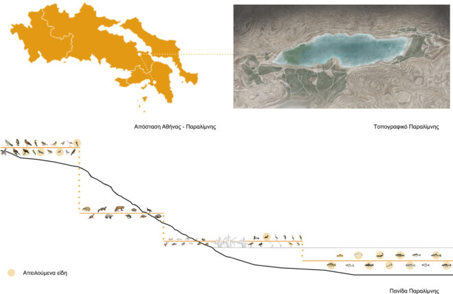 Archisearch Eco Generator: facilities of a hatchery and a research center in Paralimni | Thesis project by Anastasiou Eirini and Iliadou Zoe