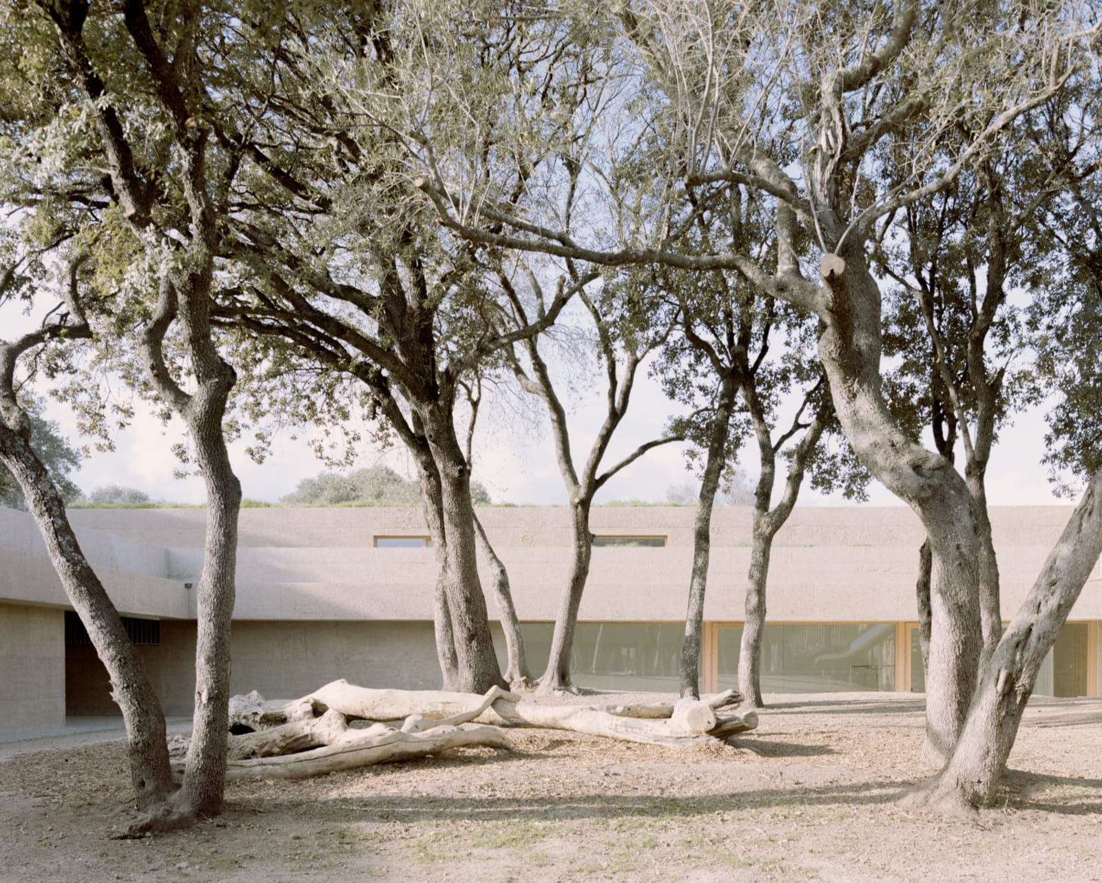 Archisearch Architecture for Education: Orma Designs a Kindergarten in Corsica Mixing Learning with Community Life.