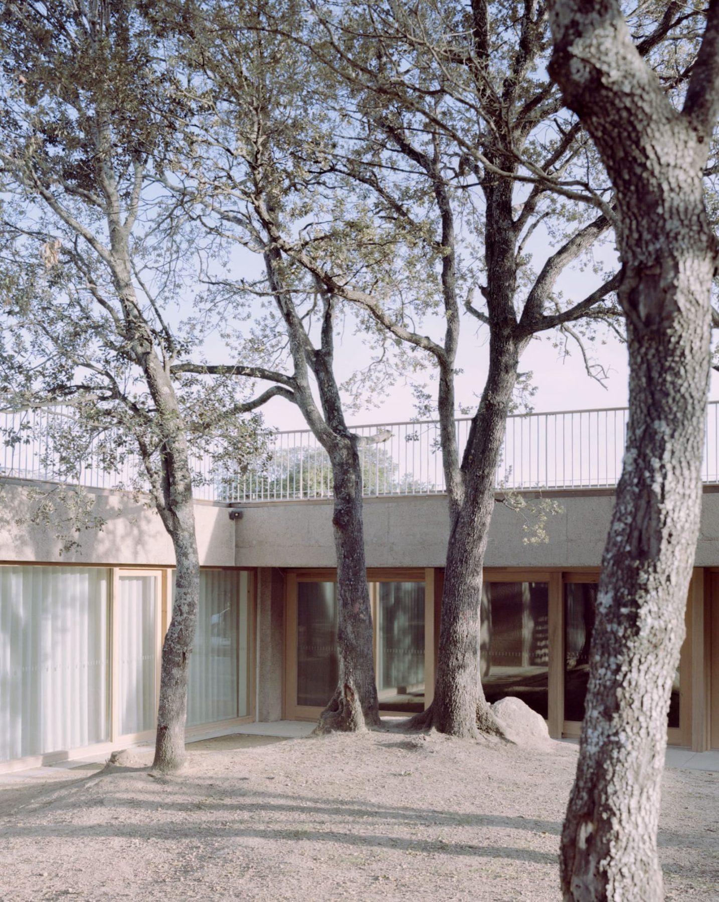 Archisearch Architecture for Education: Orma Designs a Kindergarten in Corsica Mixing Learning with Community Life.