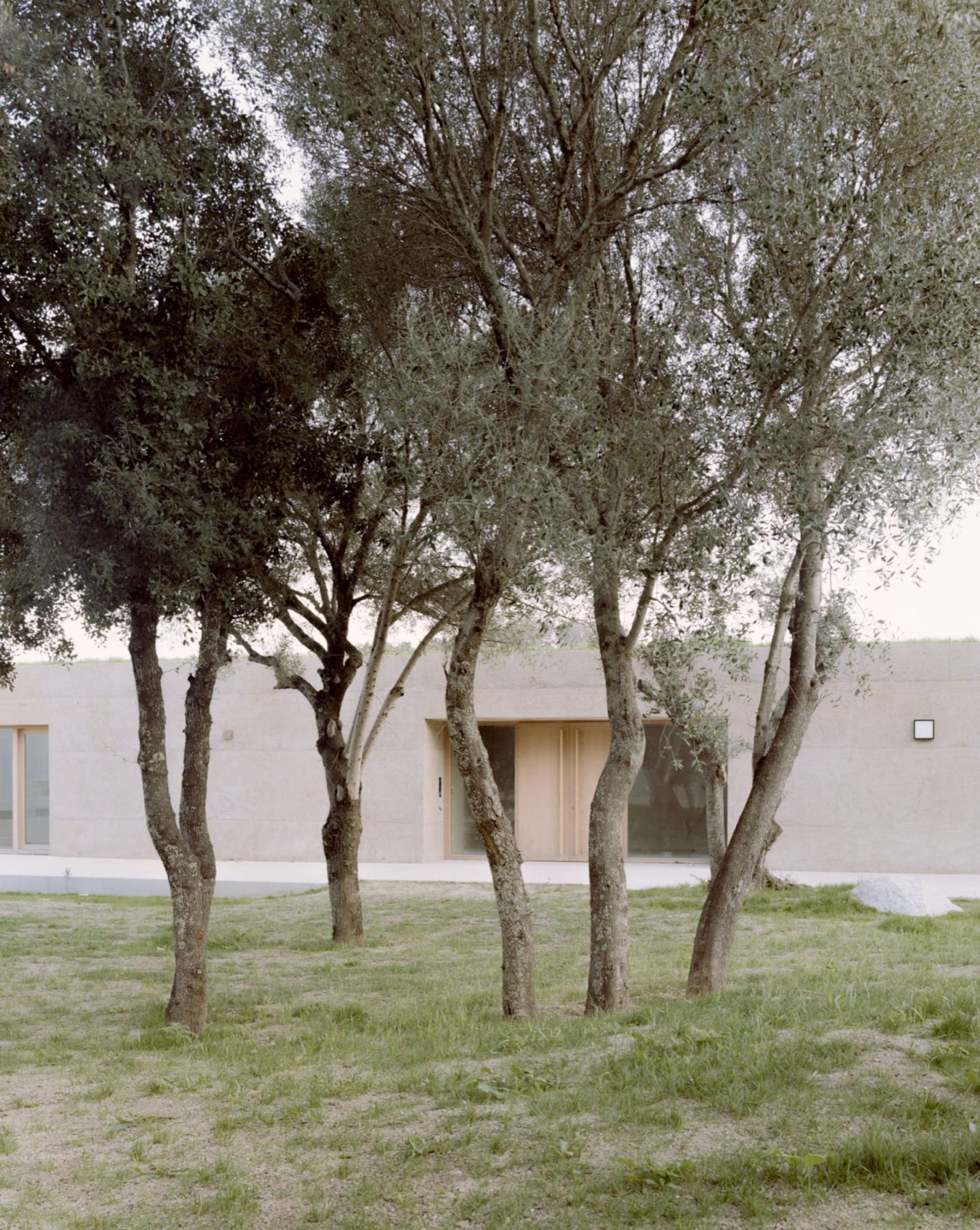 Archisearch Architecture for Education: Orma Designs a Kindergarten in Corsica Mixing Learning with Community Life.