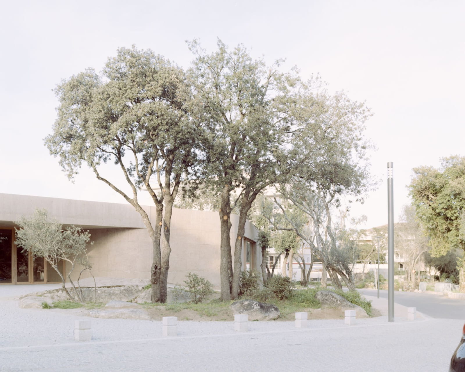 Archisearch Architecture for Education: Orma Designs a Kindergarten in Corsica Mixing Learning with Community Life.