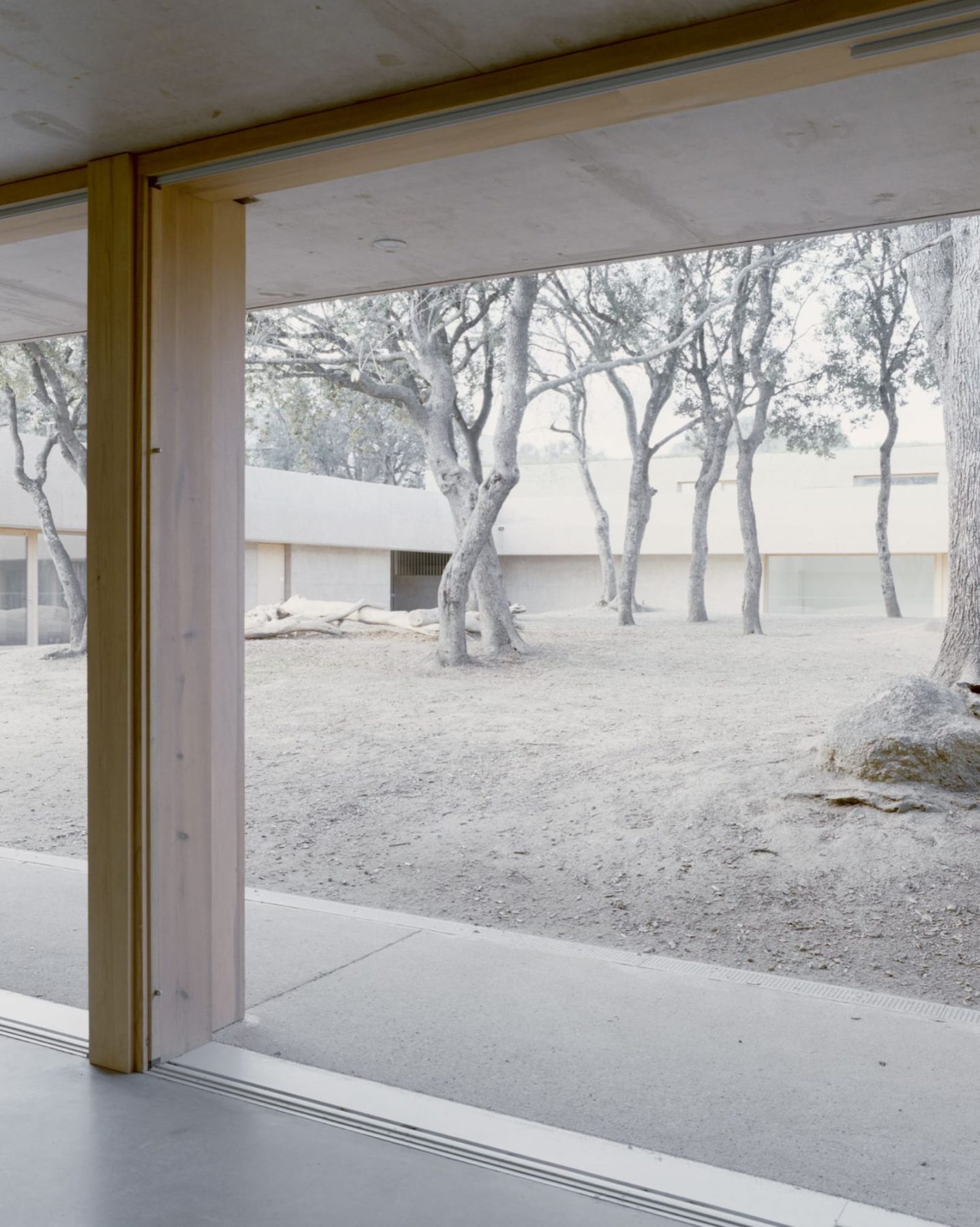 Archisearch Architecture for Education: Orma Designs a Kindergarten in Corsica Mixing Learning with Community Life.