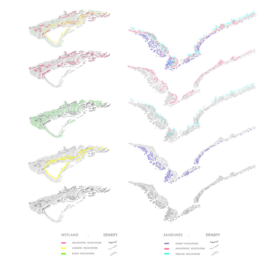 seashore, dune, lakonia, diploma, student, doumani, korka, aristotle, recovery, regeneration, environment, vegetation, diagrams