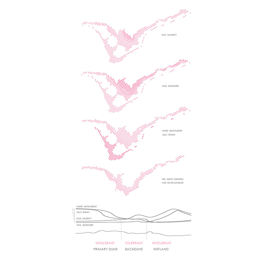 seashore, dune, lakonia, diploma, student, doumani, korka, aristotle, recovery, regeneration, environment, gradients, diagrams