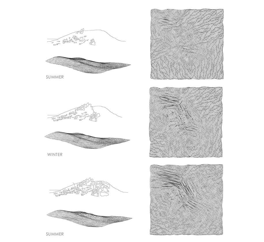 seashore, dune, lakonia, diploma, student, doumani, korka, aristotle, recovery, regeneration, environment, seasons, reliefs, diagram