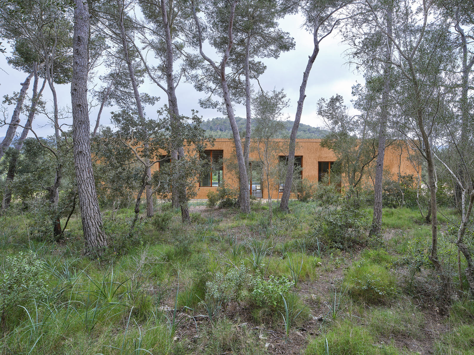 Archisearch Dream Houses: Casa Bajo los Pinos by Studio Rosa is a contemporary take on Mallorcan vernacular rural architecture