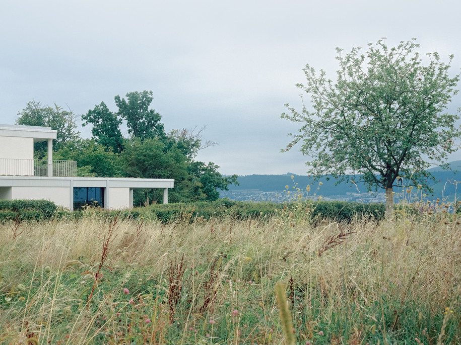 Archisearch House at a vineyard by Think Architecture | Archisearch