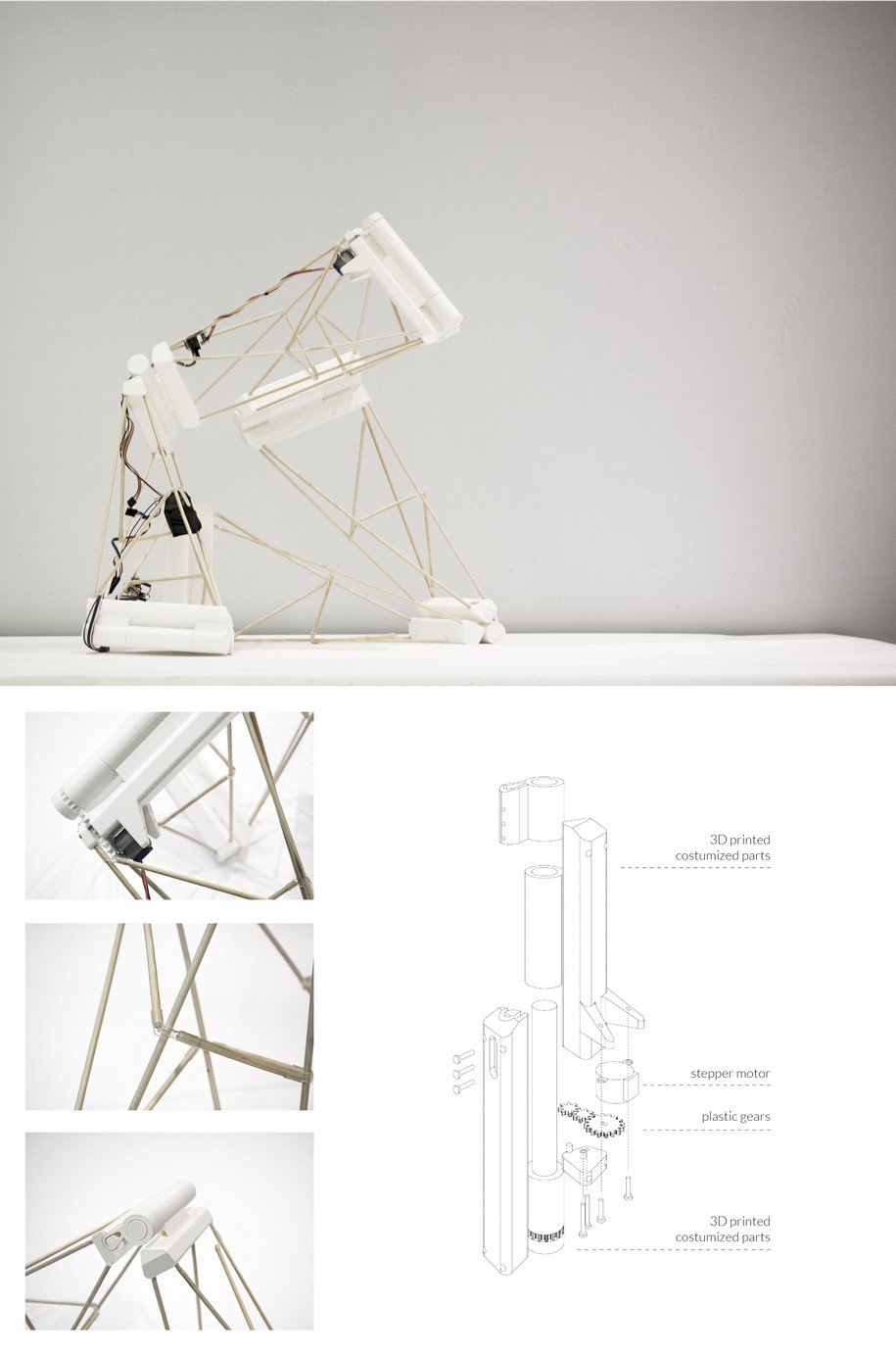 Archisearch Tropos | AA DRL Design Thesis by Akis Polykandriotis, Giulia Arienzo Malori, Shiri Dobrinsky, Tao Yu
