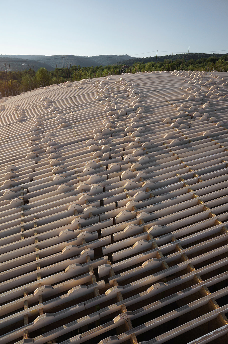 Ypsilon, olive, grove, peloponnese, villa,LASSA, architects, sarantoglou, Sweijd, roof, concrete, shape, prefabrication