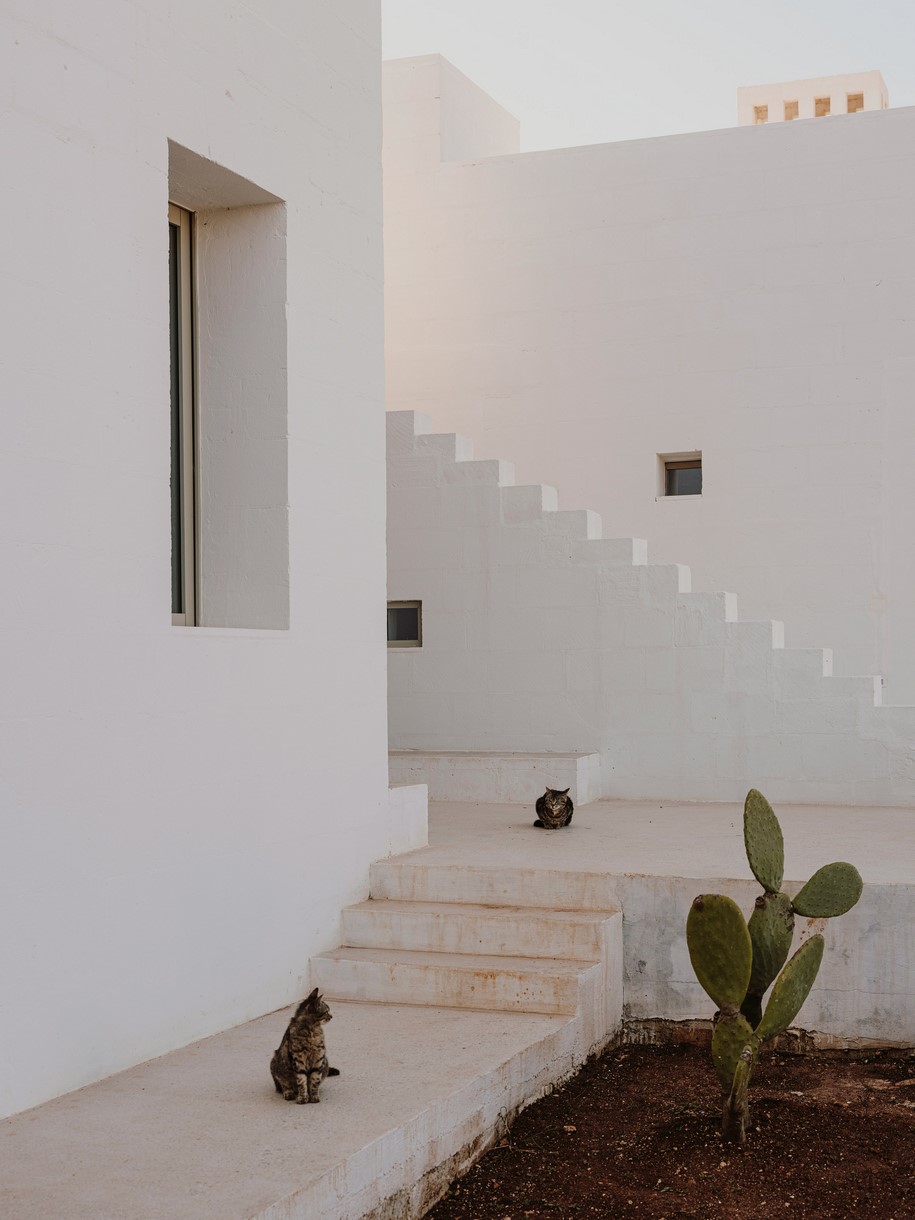 Archisearch Villa Cardo interpretes local architecture of Puglia  | Studio Andrew Trotter