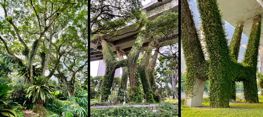 Archisearch The Urban Geology of Singapore | by Erieta Attali